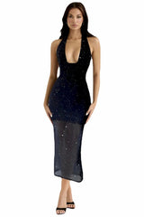 Aya Muse Sequined Mesh Dress