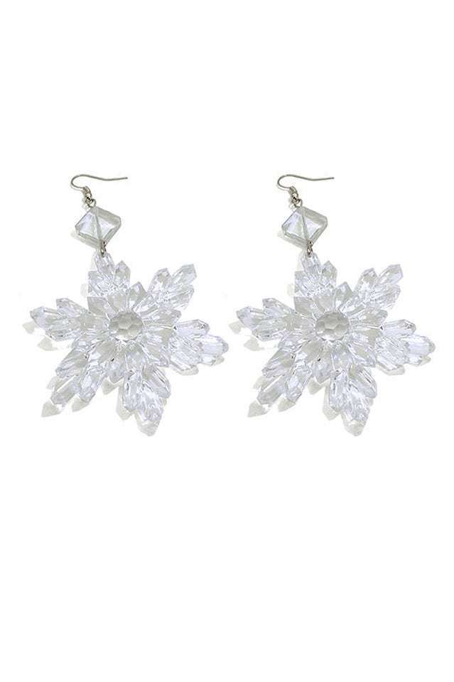 Transparent Snow Earrings